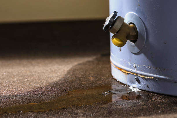 Best Water damage cleanup near me  in Petersburg, WV