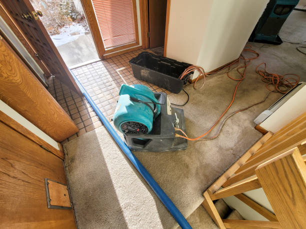 Best Water damage contractors near me  in Petersburg, WV