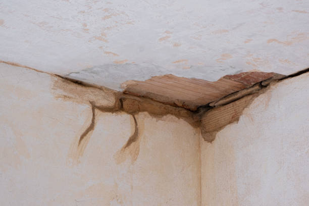  Petersburg, WV Water damage restoration Pros