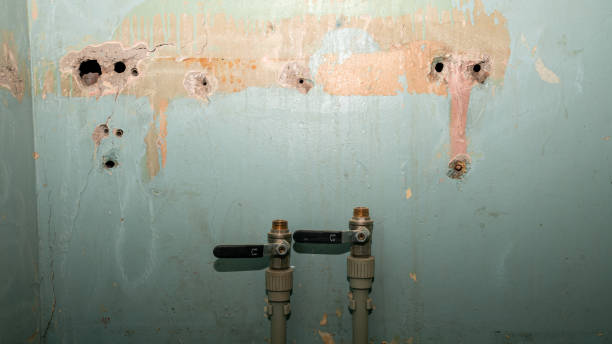 Best Emergency water damage restoration  in Petersburg, WV